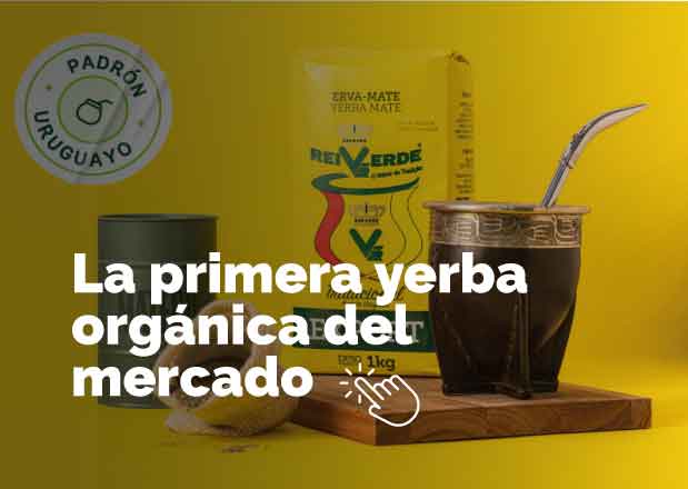 Oferta 6